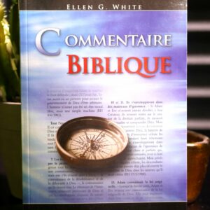 Commentaire biblique EGW