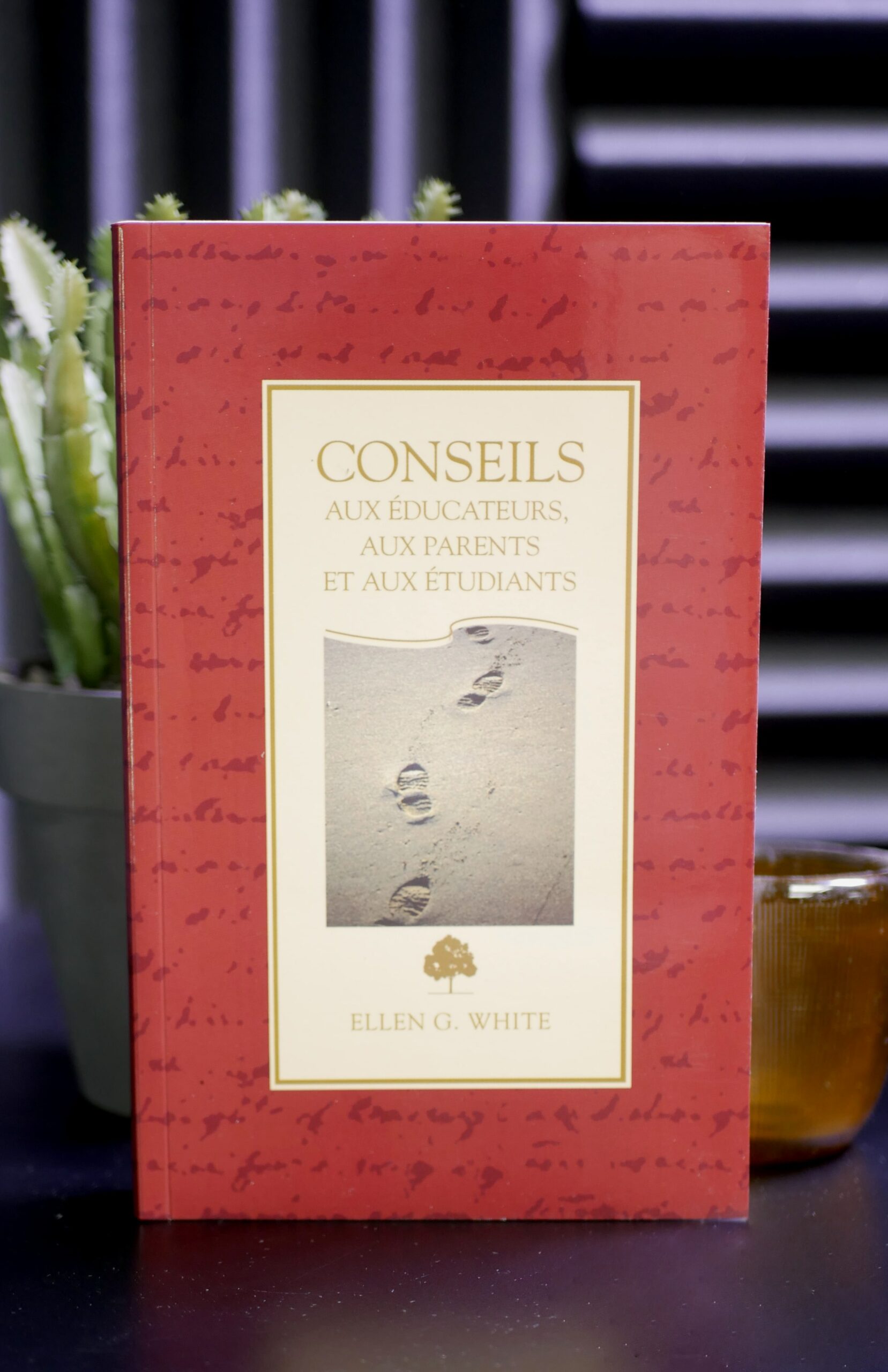 Conseils aux éducateurs, aux parents et aux étudiants