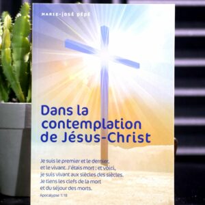 Dans la contemplation de Jésus-Christ