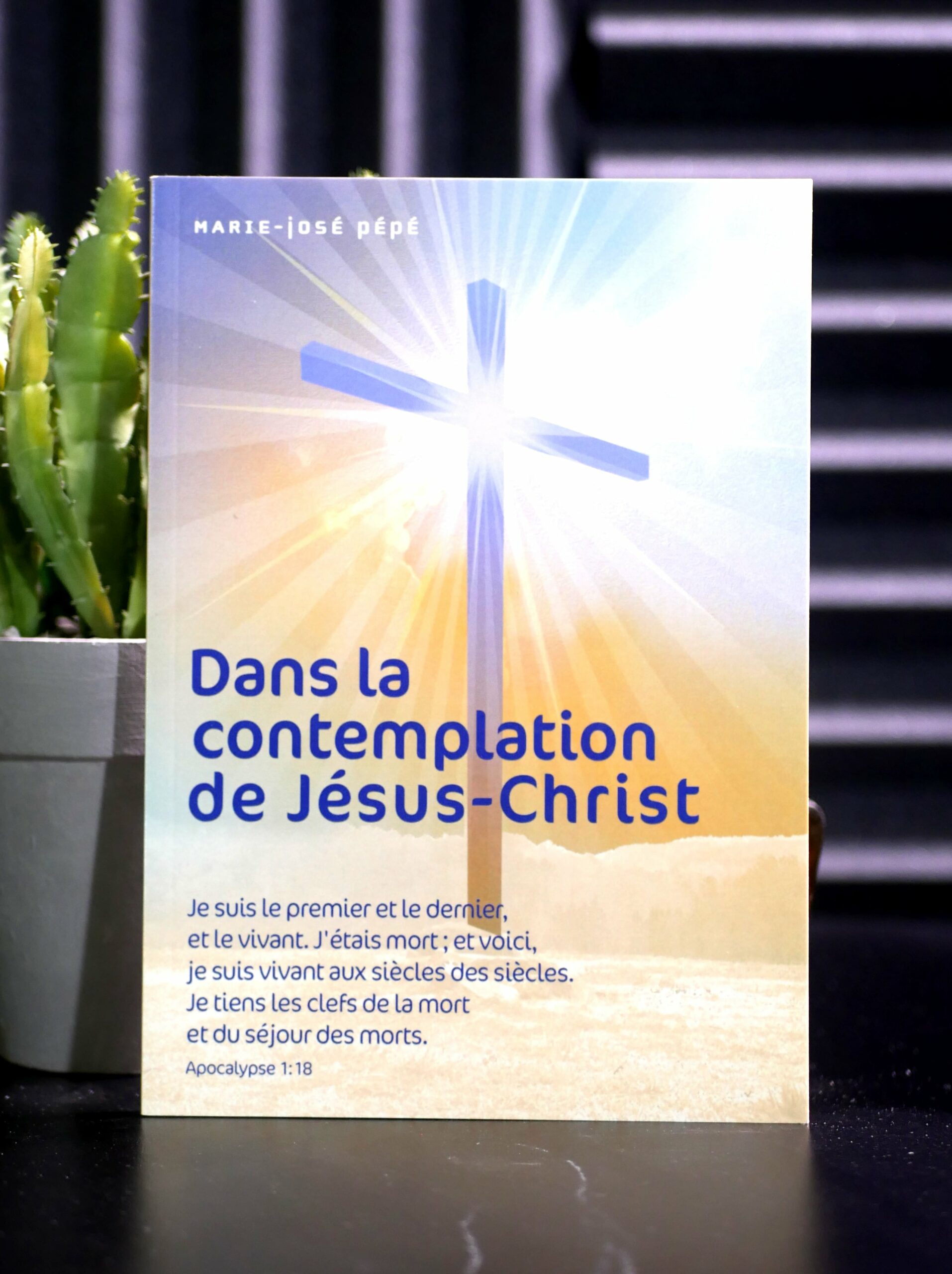 Dans la contemplation de Jésus-Christ